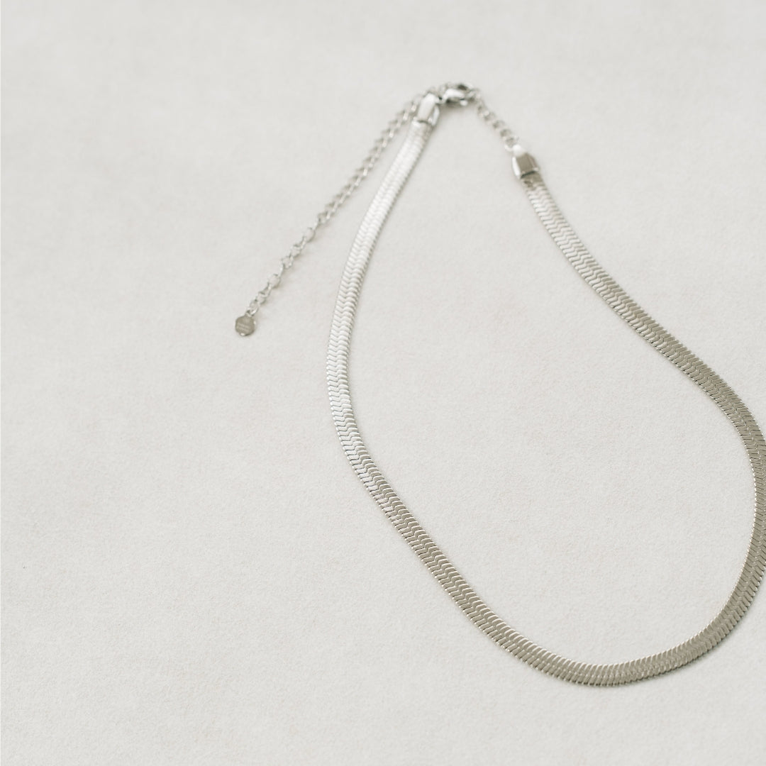 Silver slink white background