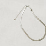 Silver slink white background