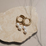 Gold pearl hoops on rock