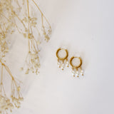 Stella Maris Pearl Huggies