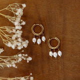 Stella Maris Pearl Huggies
